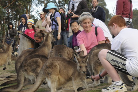 East Coast Natureworld - Accommodation Burleigh 4