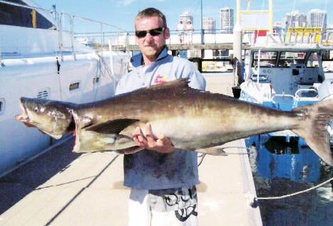 True Blue Fishing Charters - Accommodation Burleigh 0
