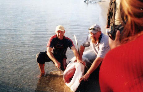 True Blue Fishing Charters - Accommodation Burleigh 1