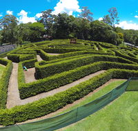 Bellingham Maze - Accommodation Burleigh