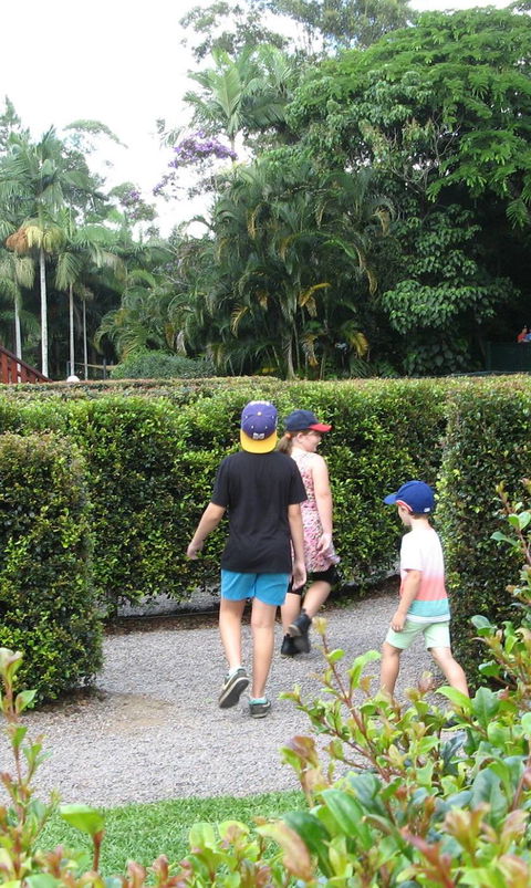 Bellingham Maze - Accommodation Burleigh 2