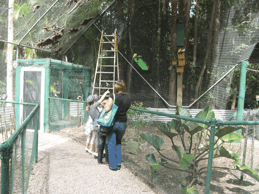 Bellingham Maze - Accommodation Burleigh 7