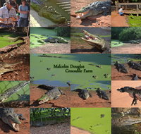 The Malcolm Douglas Crocodile Park - Accommodation Burleigh