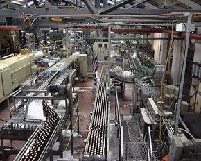 Cascade Brewery Tour - Accommodation Burleigh 2