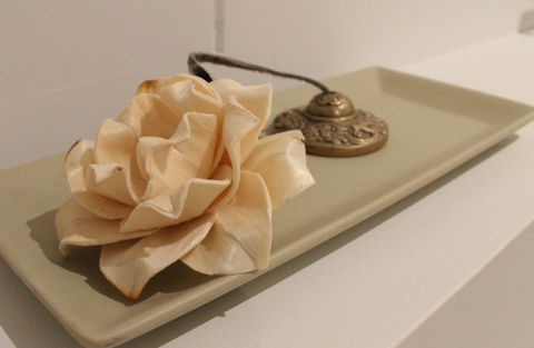 The Boardwalk Spa - Accommodation Burleigh 5