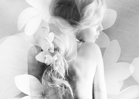 Elysium- A Place Of Beauty - Accommodation Burleigh 1