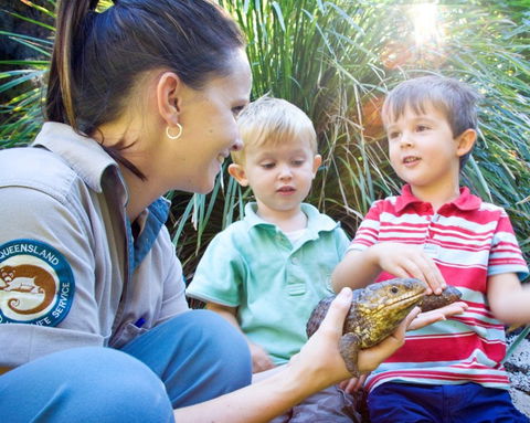 David Fleay Wildlife Park - Accommodation Burleigh 3