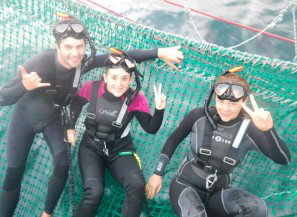 Dolphin Swim Australia - Accommodation Burleigh 7