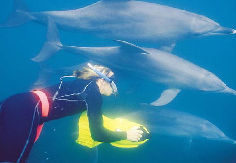 Rockingham Wild Encounters - Accommodation Burleigh 1