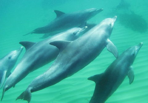 Rockingham Wild Encounters - Accommodation Burleigh 4