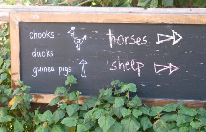 Collingwood Children's Farm - Accommodation Burleigh 4