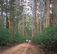 Boranup Drive - Accommodation Burleigh