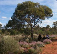 Karlkurla Bushland Park - Accommodation Burleigh