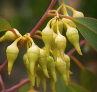 Mount Short Scenic Drive - Accommodation Burleigh