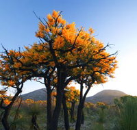 Cape Le Grand National Park - Accommodation Burleigh