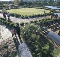 Kojonup Rose Maze - Accommodation Burleigh