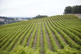 Crooked Brook WA Accommodation Burleigh