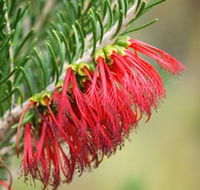 Ethel Daw Scenic Drive - Accommodation Burleigh