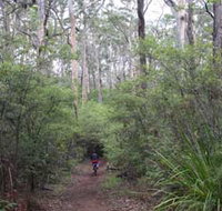 Margaret River Rails Trail - Accommodation Burleigh