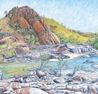 Red Dirt Arts - Accommodation Burleigh