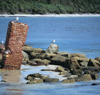 Whalers Beach - Accommodation Burleigh