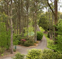 Mount Lofty Botanic Garden - Accommodation Burleigh