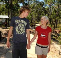 Crooked Brook Forest - Accommodation Burleigh