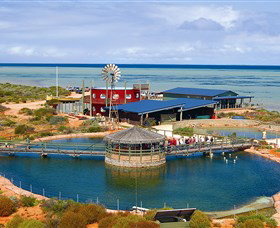 Shark Bay WA Accommodation Burleigh