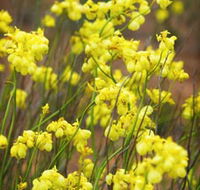 Mount Madden Scenic Drive - Accommodation Burleigh