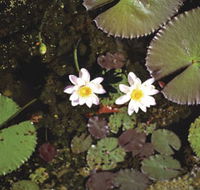 Parry Lagoons Nature Reserve - Accommodation Burleigh