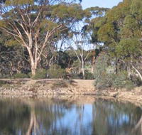 Merredin Railway Dam - Accommodation Burleigh