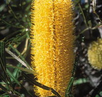 Moore River National Park - Accommodation Burleigh
