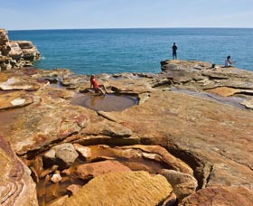 Parks And Gardens Harrison ACT Accommodation Burleigh