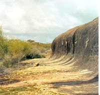 Totadgin Dam Reserve - Accommodation Burleigh