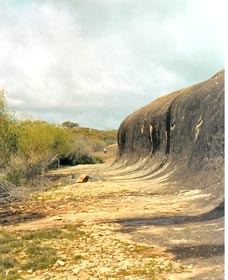 Totadgin Dam Reserve - Accommodation Burleigh 0