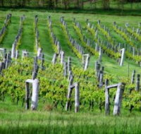 Sienna Estate Winery - Accommodation Burleigh