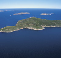 Woody Island Nature Reserve - Accommodation Burleigh