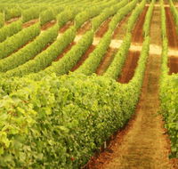 Xanadu Wines - Accommodation Burleigh