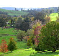 Golden Valley Tree Park - Accommodation Burleigh