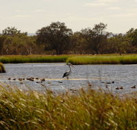 Anytime Adventures in Mandurah  the Peel Region - Accommodation Burleigh