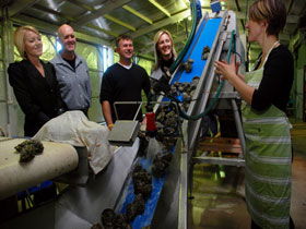  Accommodation Burleigh