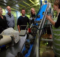 Eyre Peninsula's Seafood Trail - Accommodation Burleigh