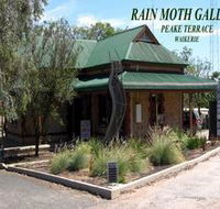 Rain Moth Gallery - Accommodation Burleigh