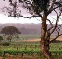 Yangarra Estate Vineyard - Accommodation Burleigh