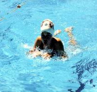 Mount Gambier Aquatic Centre - Accommodation Burleigh