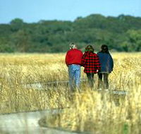 Onkaparinga River Recreation Park - Accommodation Burleigh