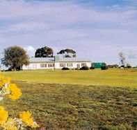 Lucindale Country Club - Accommodation Burleigh