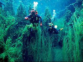 Compton SA Accommodation Burleigh