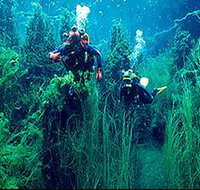 Ewens Ponds Conservation Park - Accommodation Burleigh