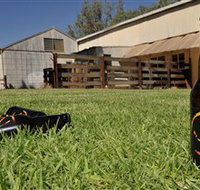 Wilkadene Woolshed Brewery - Accommodation Burleigh